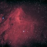 IC5070, the Pelican Nebula